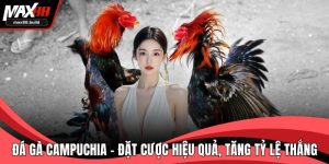 Đá gà Campuchia